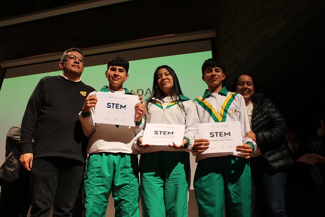 STEM 1