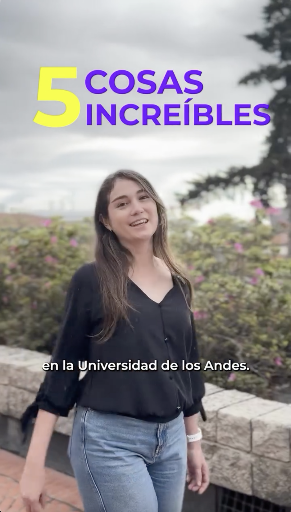 Cover historia